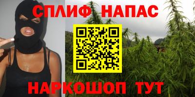 гидра Бузулук